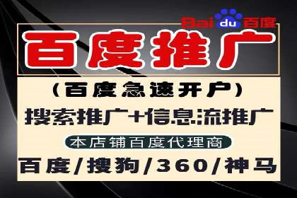竞价广告在提升品牌知名度中的作用：XX品牌的成功故事
